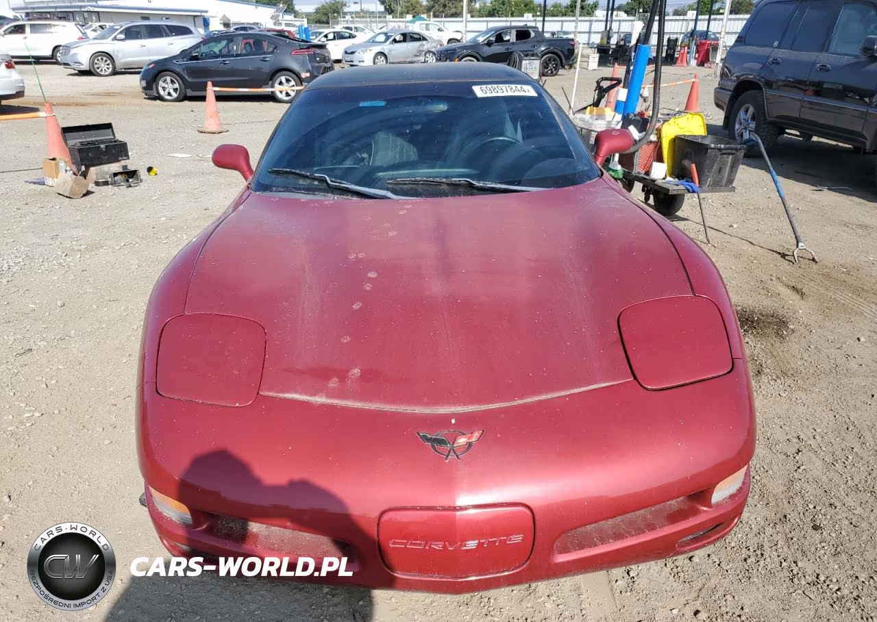 1998 Chevrolet Corvette VIN:1G1YY22G9W5118084 - 5