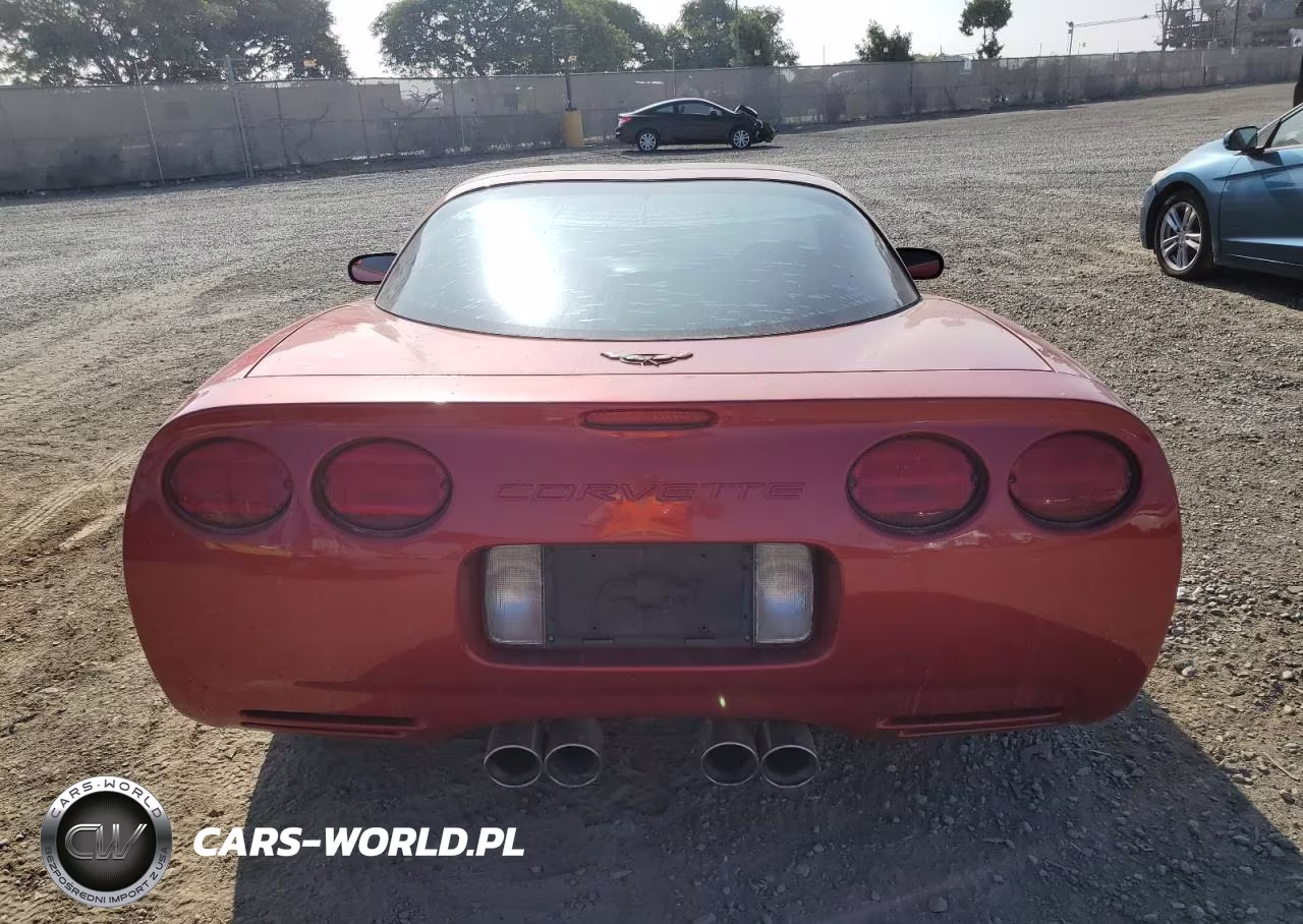 1998 Chevrolet Corvette VIN:1G1YY22G9W5118084 - 6