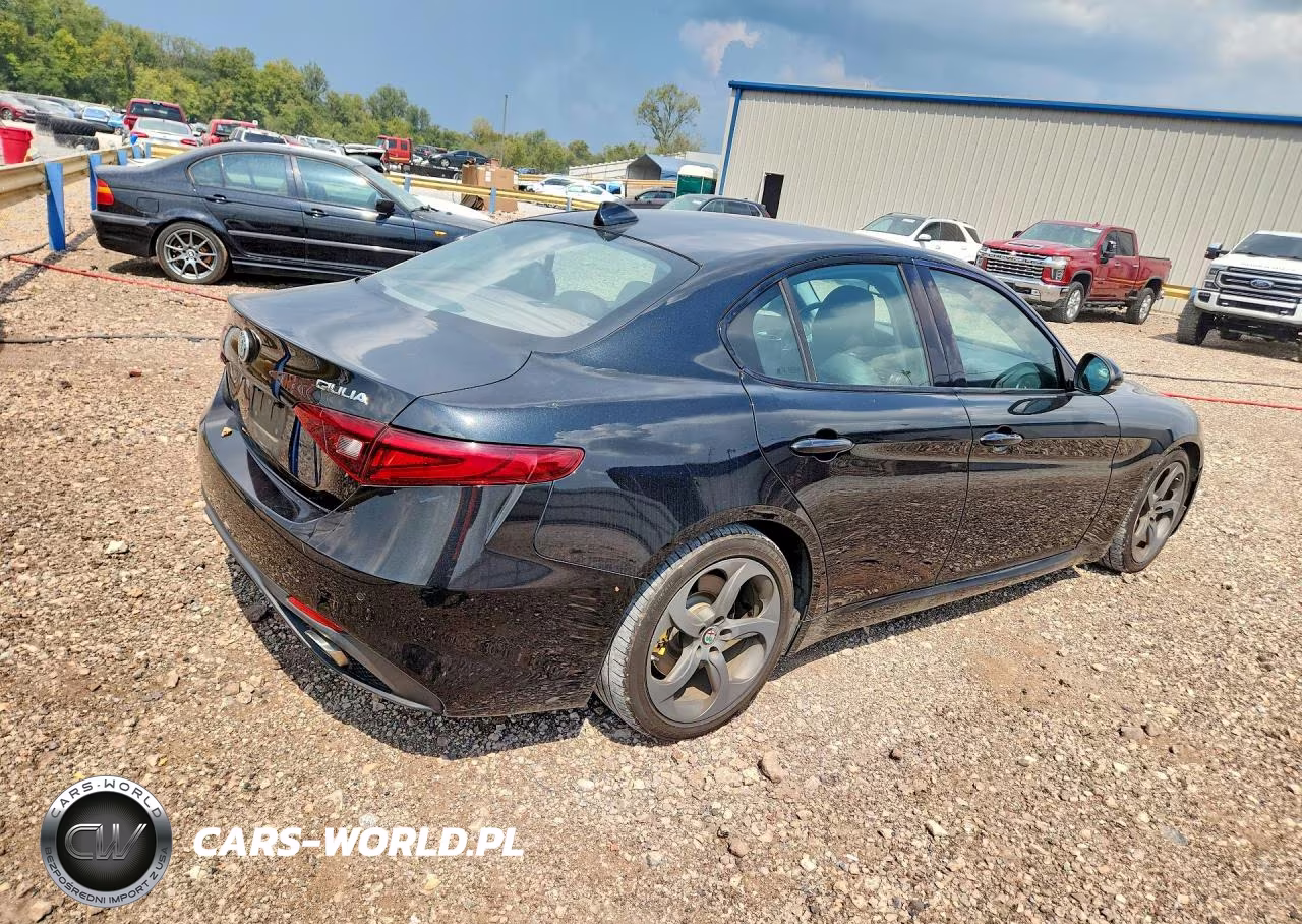 2017 Alfa Romeo Giulia VIN:ZARFAEBN7H7539236 - 3