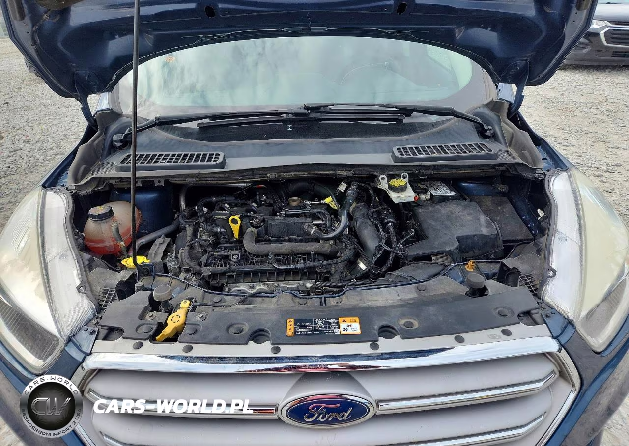 2018 Ford Escape Se VIN:1FMCU0GD0JUC68885 - 12