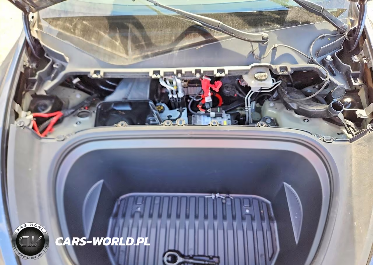2023 Tesla Model Y VIN:7SAYGDEEXPA209302 - 12