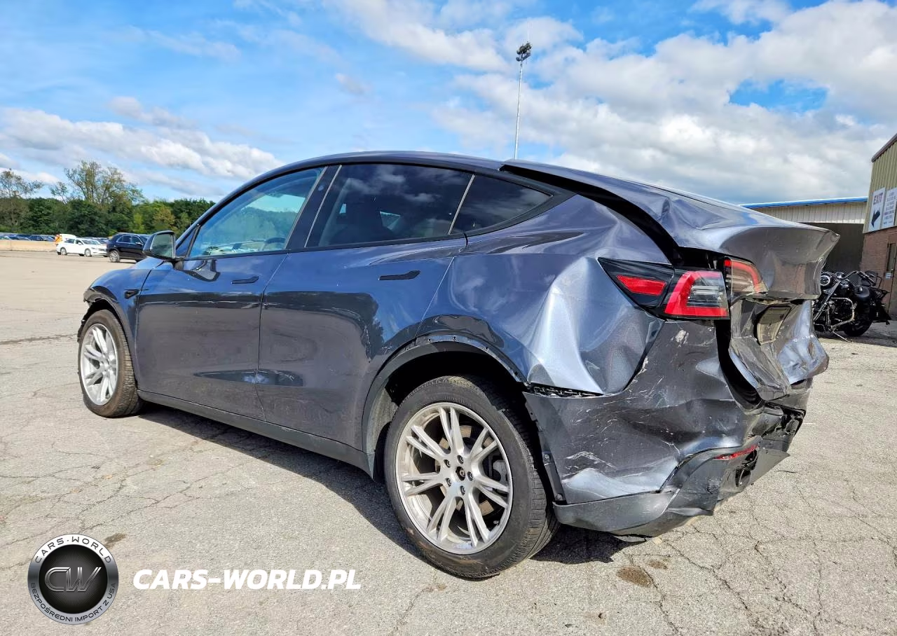 2023 Tesla Model Y VIN:7SAYGDEEXPA209302 - 2