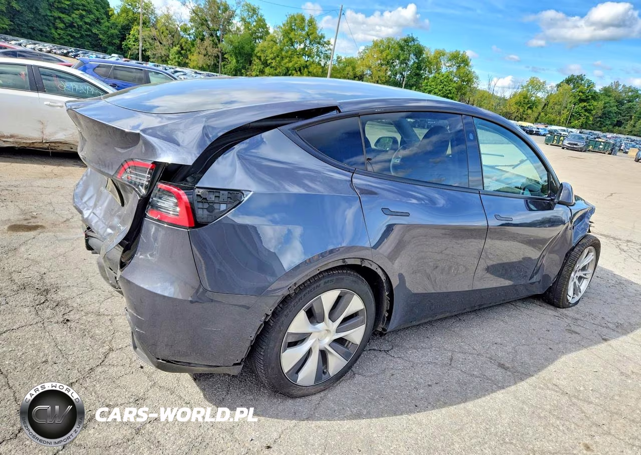 2023 Tesla Model Y VIN:7SAYGDEEXPA209302 - 3