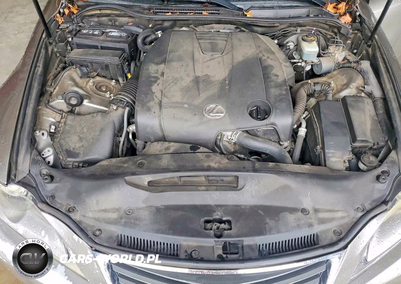 2014 Lexus Is 250 VIN:JTHBF1D28E5028694 - 11