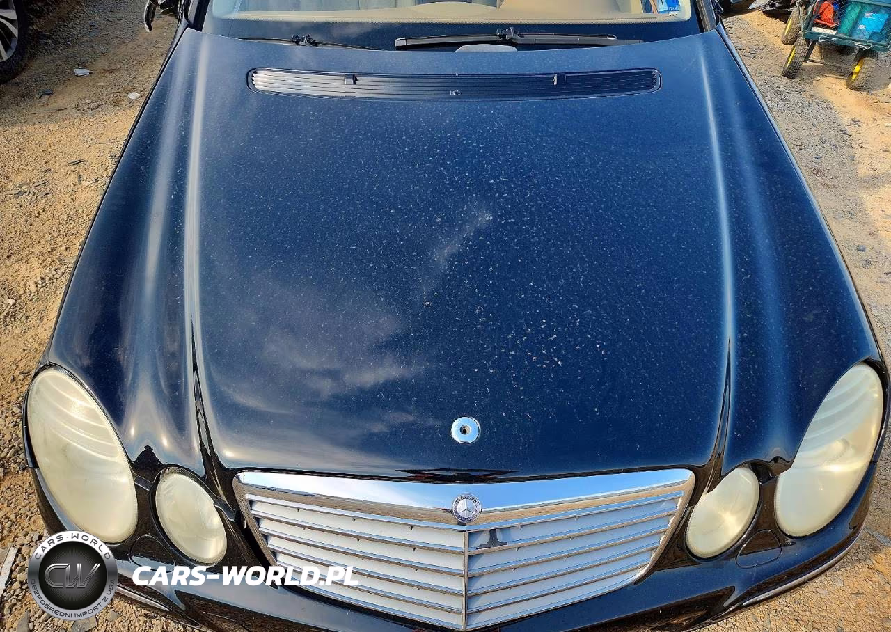 2009 Mercedes-Benz E 350 4Matic VIN:WDBUH87X99B439130 - 12