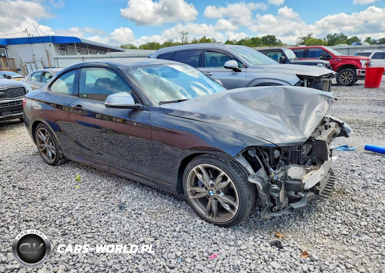 2015 BMW M235I VIN:WBA1J7C55FV358544 - 4
