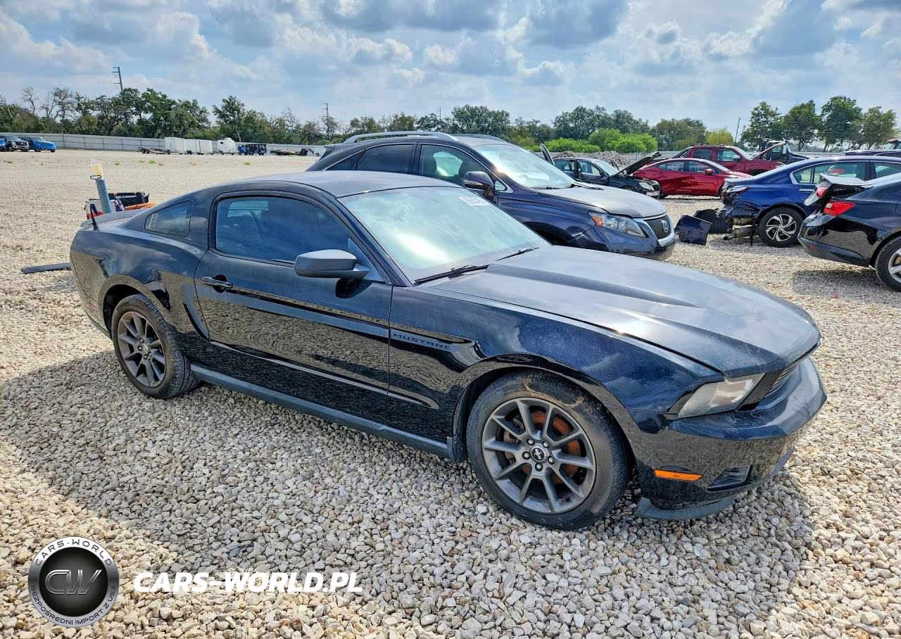 2011 Ford Mustang VIN:1ZVBP8AM4B5155920 - 4