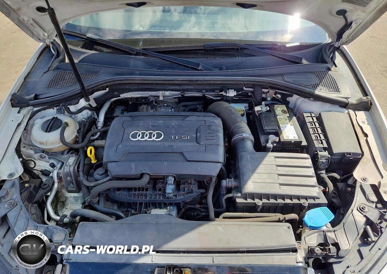 2017 Audi A3 Premium Plus S-Line VIN:WAUB8GFF2H1019450 - 11