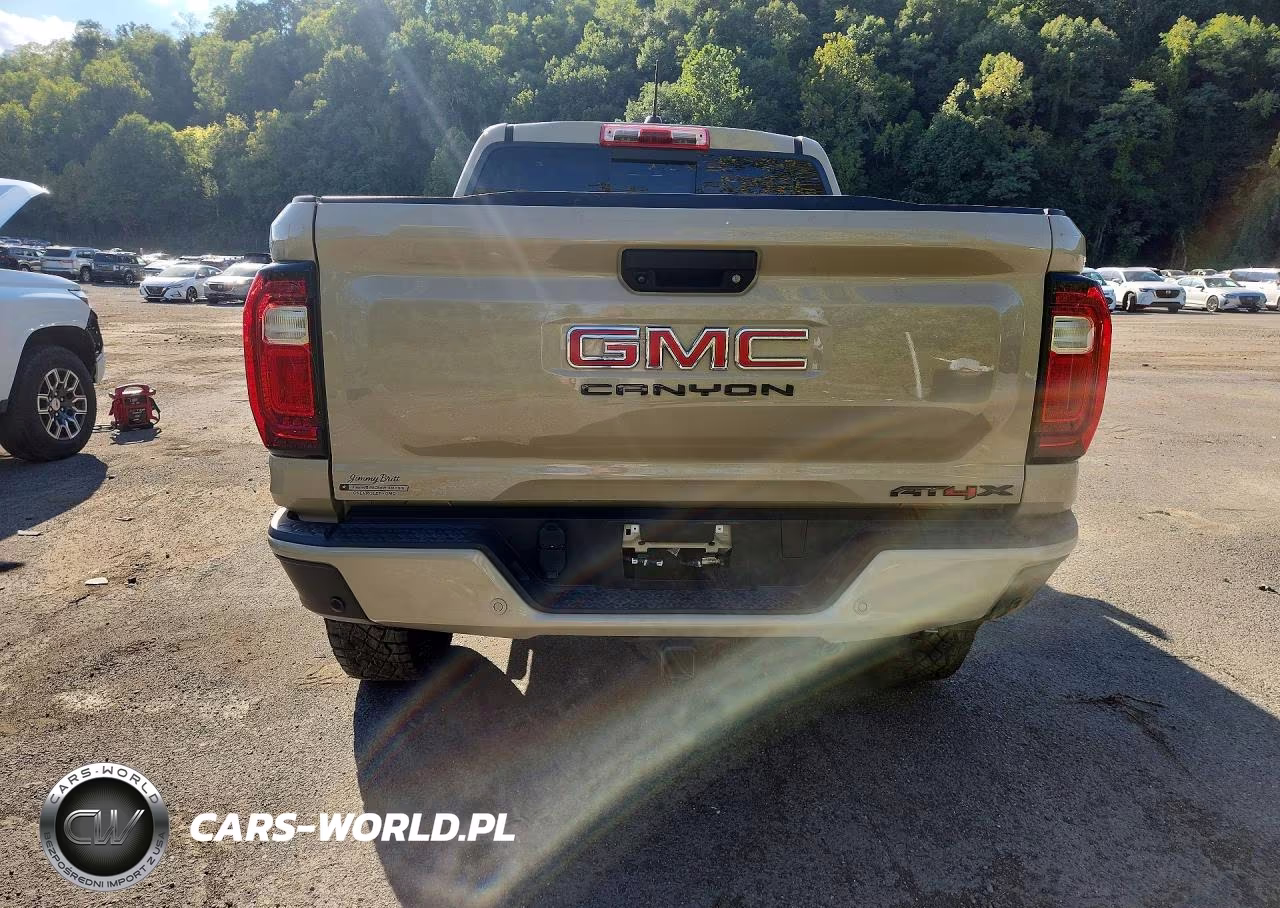 2024 GMC Canyon At4X VIN:1GTP6EEK3R1129197 - 6