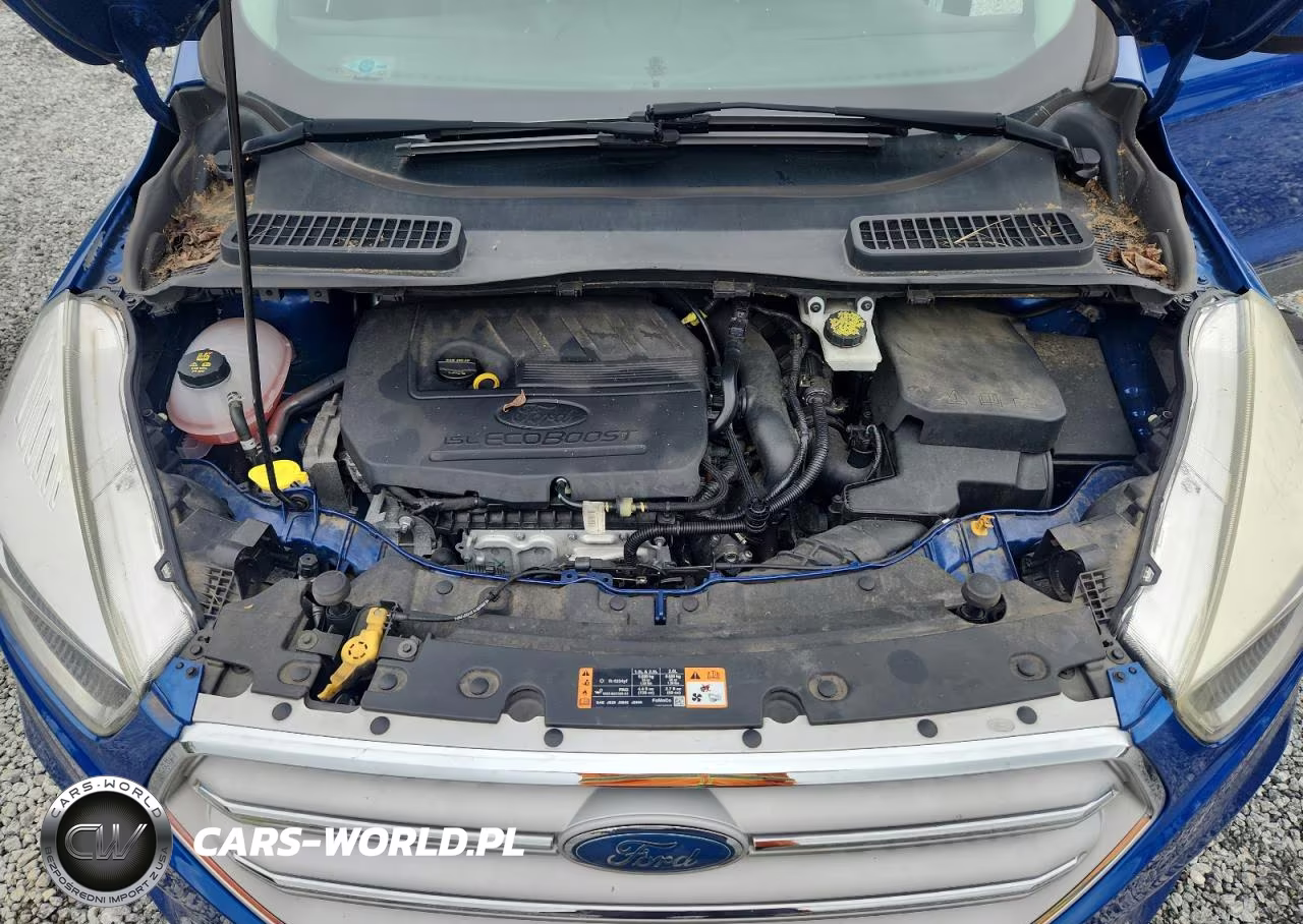 2018 Ford Escape Se VIN:1FMCU0GD0JUB08036 - 12