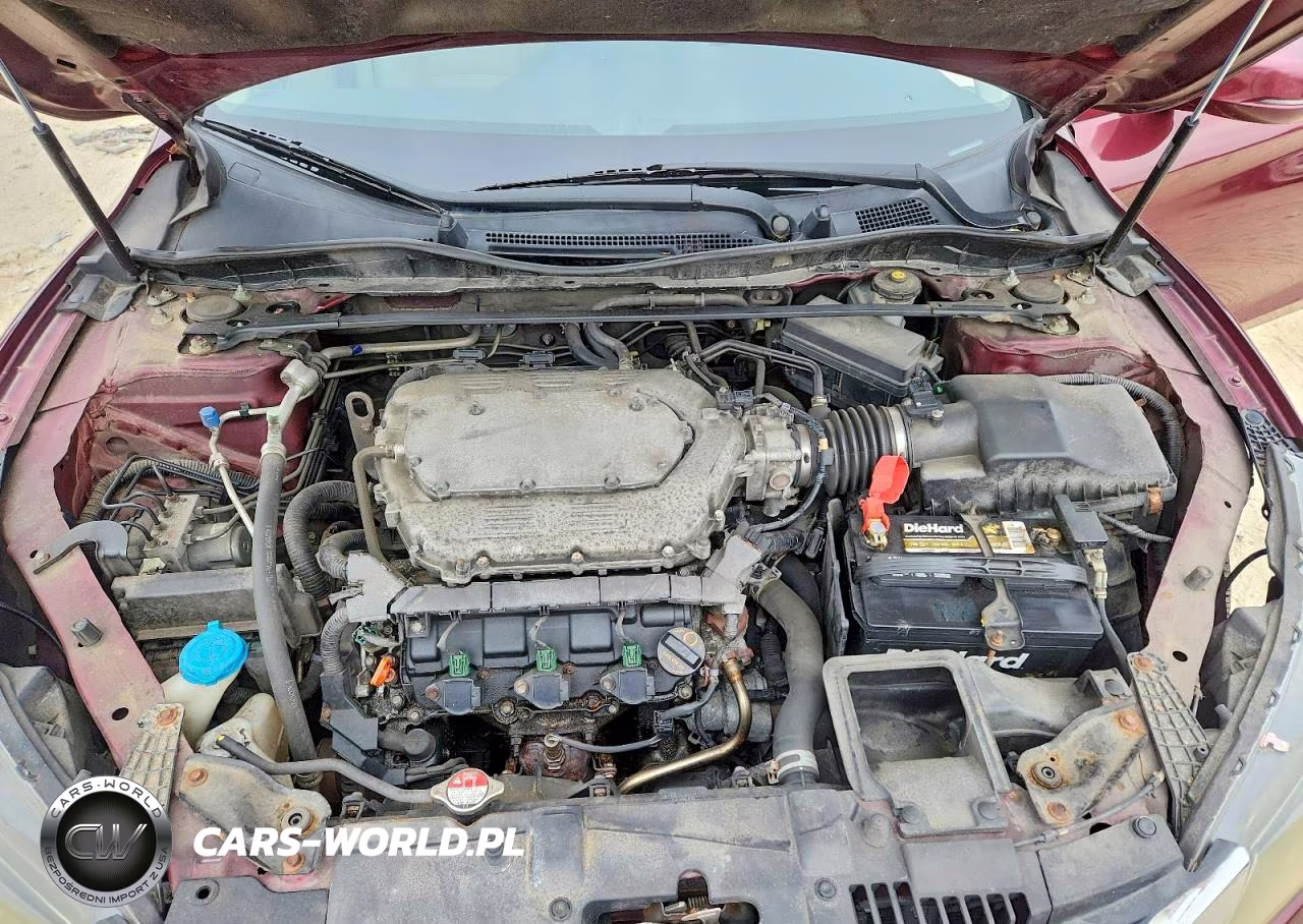 2013 Honda Accord Exl VIN:1HGCR3F84DA041539 - 11