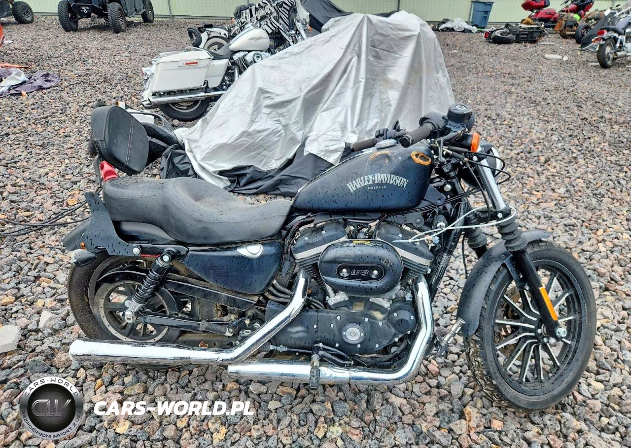 2015 Harley-Davidson Xl883 Iron 883 – zdjęcie 1 z 9