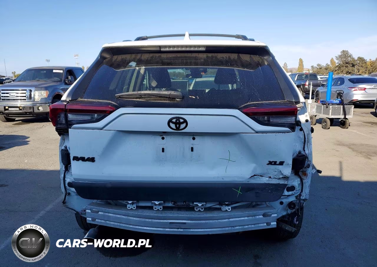 2019 Toyota Rav4 Xle Premium VIN:2T3C1RFV3KW028584 - 6