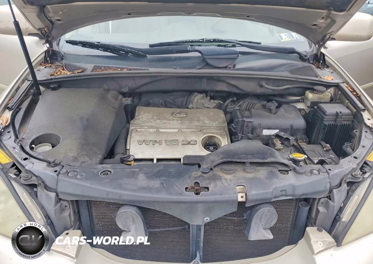 2006 Lexus Rx 330 VIN:2T2HA31U56C105789 - 12