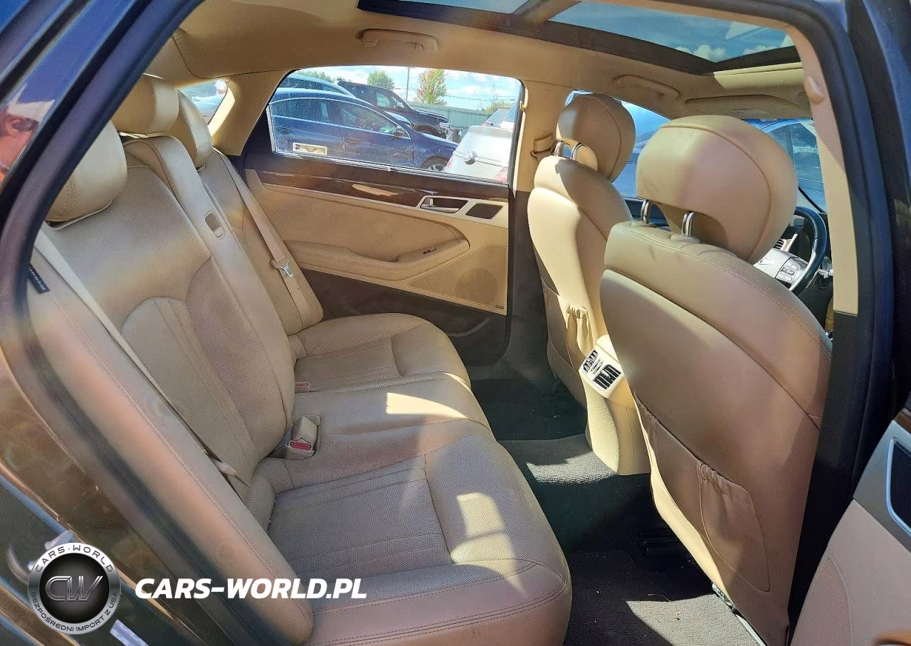 2015 Hyundai Genesis 3.8L VIN:KMHGN4JE1FU020062 - 10