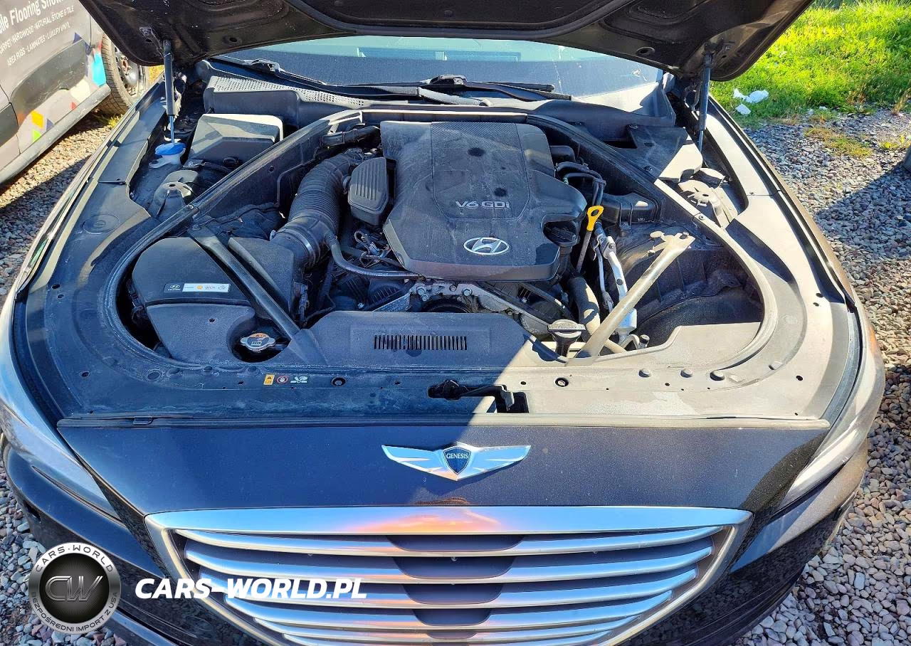 2015 Hyundai Genesis 3.8L VIN:KMHGN4JE1FU020062 - 11