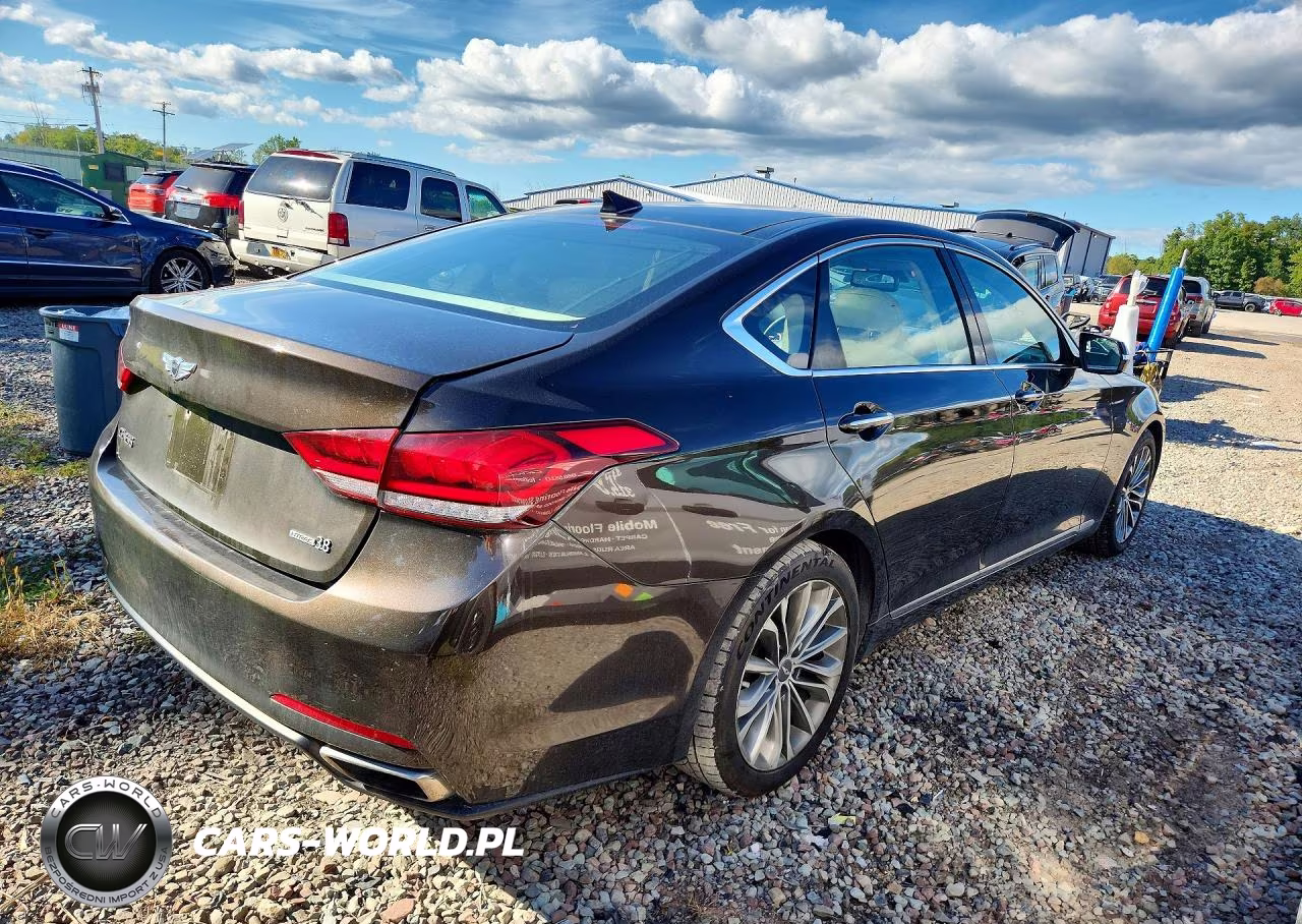 2015 Hyundai Genesis 3.8L VIN:KMHGN4JE1FU020062 - 3
