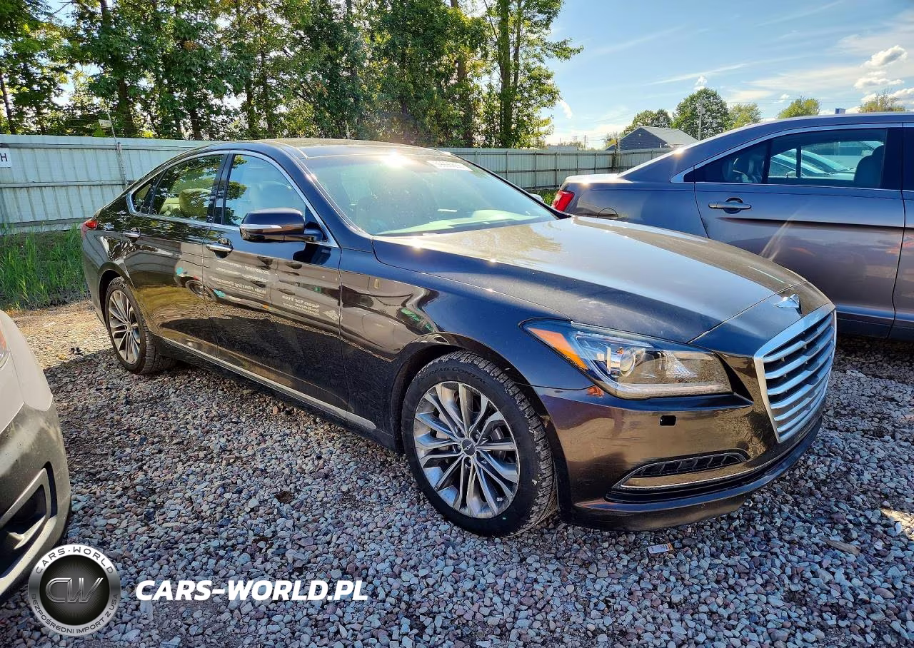 2015 Hyundai Genesis 3.8L VIN:KMHGN4JE1FU020062 - 4