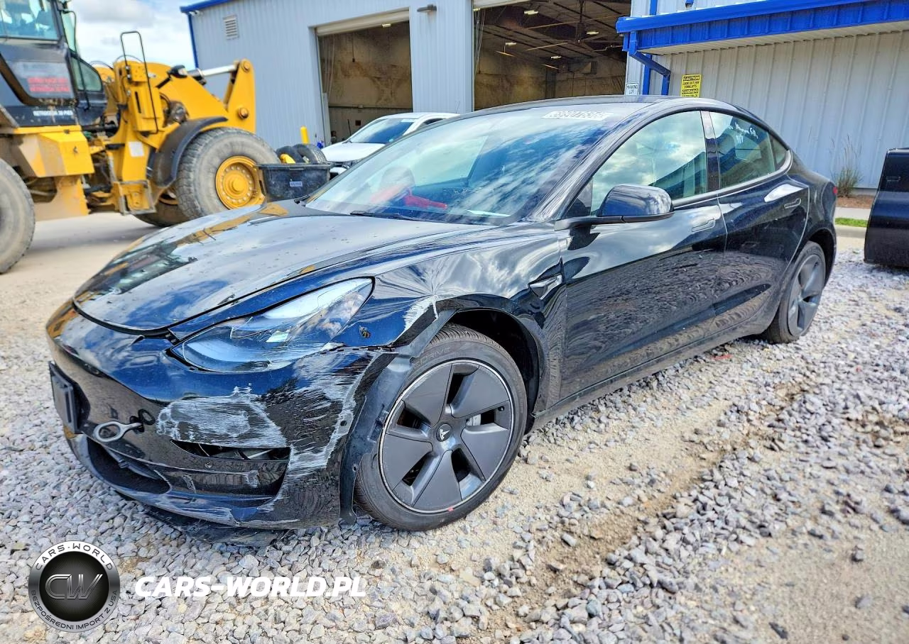 2022 Tesla Model 3 VIN:5YJ3E1EA6NF372019 - 1