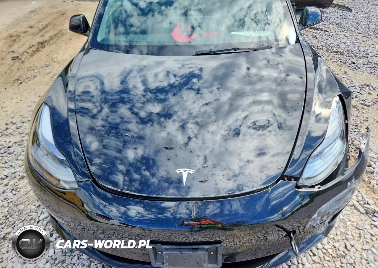 2022 Tesla Model 3 VIN:5YJ3E1EA6NF372019 - 11
