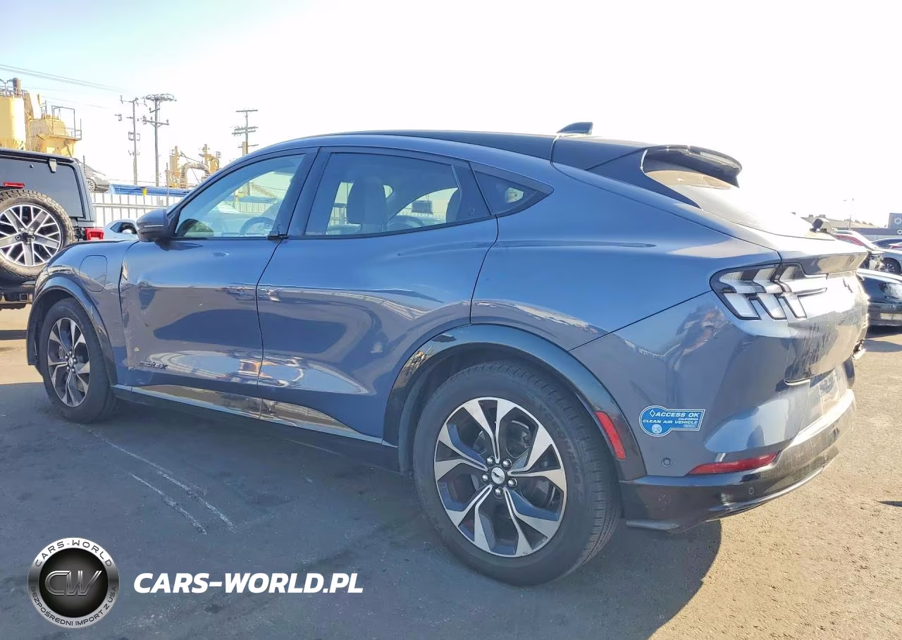 2021 Ford Mustang Mach-E Premium VIN:3FMTK3R78MMA06622 - 2
