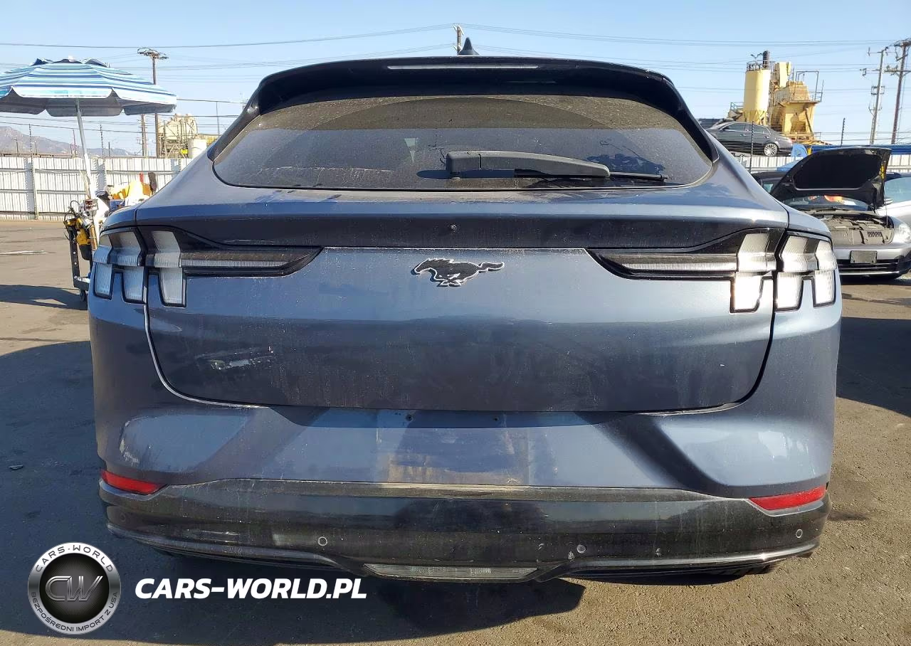 2021 Ford Mustang Mach-E Premium VIN:3FMTK3R78MMA06622 - 6