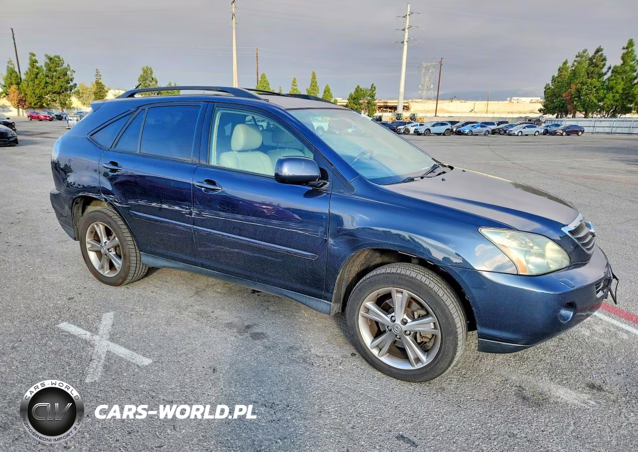 2006 Lexus Rx 400 VIN:JTJHW31U960022962 - 4