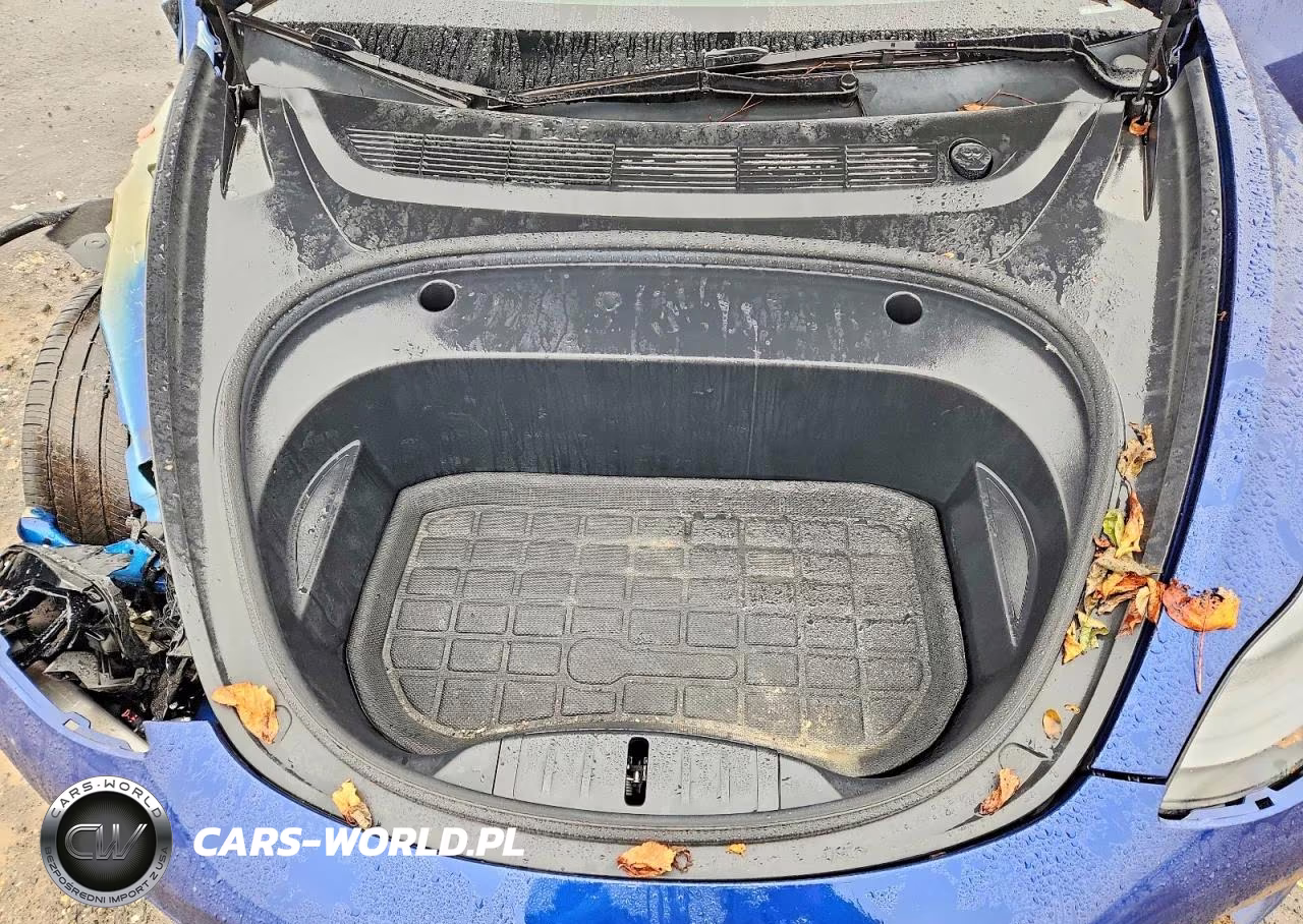 2023 Tesla Model 3 VIN:5YJ3E1EAXPF509207 - 11