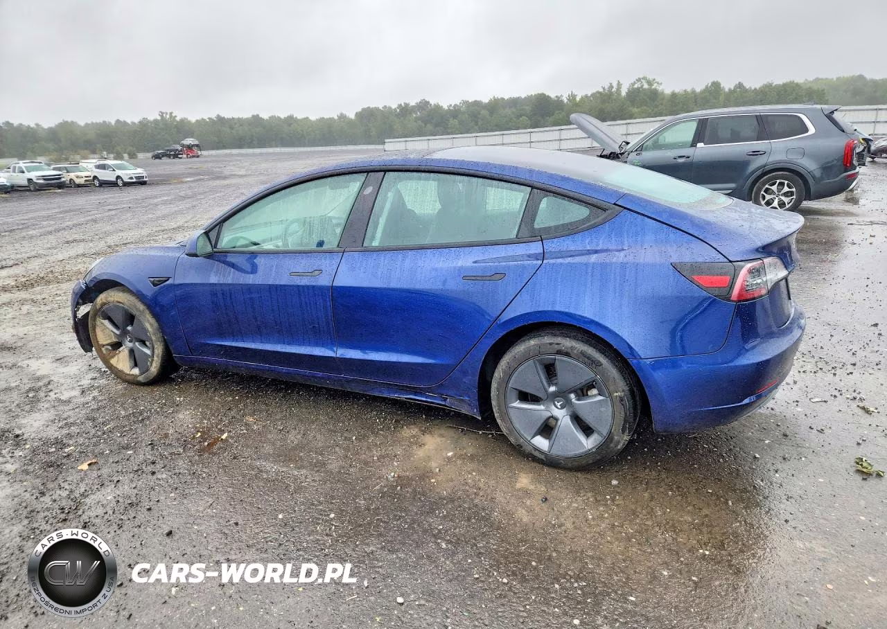 2023 Tesla Model 3 VIN:5YJ3E1EAXPF509207 - 2