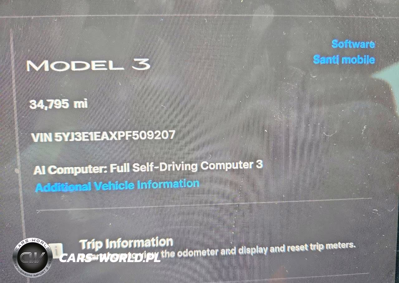 2023 Tesla Model 3 VIN:5YJ3E1EAXPF509207 - 9