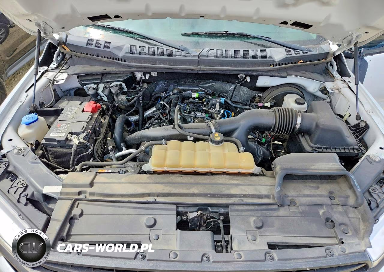 2019 Ford F150 Supercrew VIN:1FTEW1CP2KKC99887 - 11