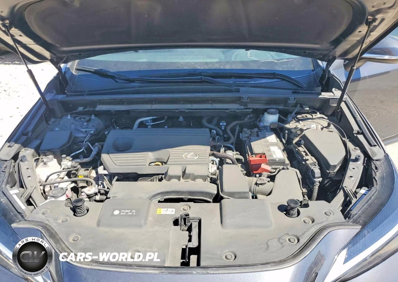 2024 Lexus Nx 250 Premium VIN:2T2GDCAZ0RC006283 - 12