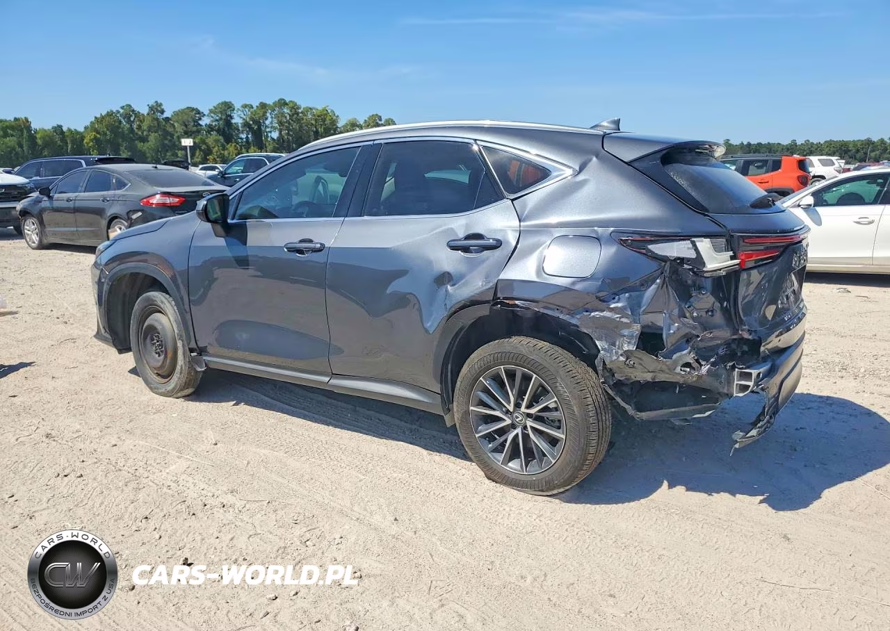 2024 Lexus Nx 250 Premium VIN:2T2GDCAZ0RC006283 - 2