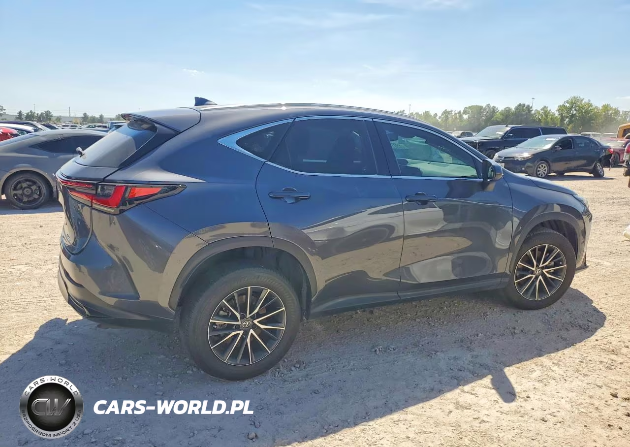 2024 Lexus Nx 250 Premium VIN:2T2GDCAZ0RC006283 - 3