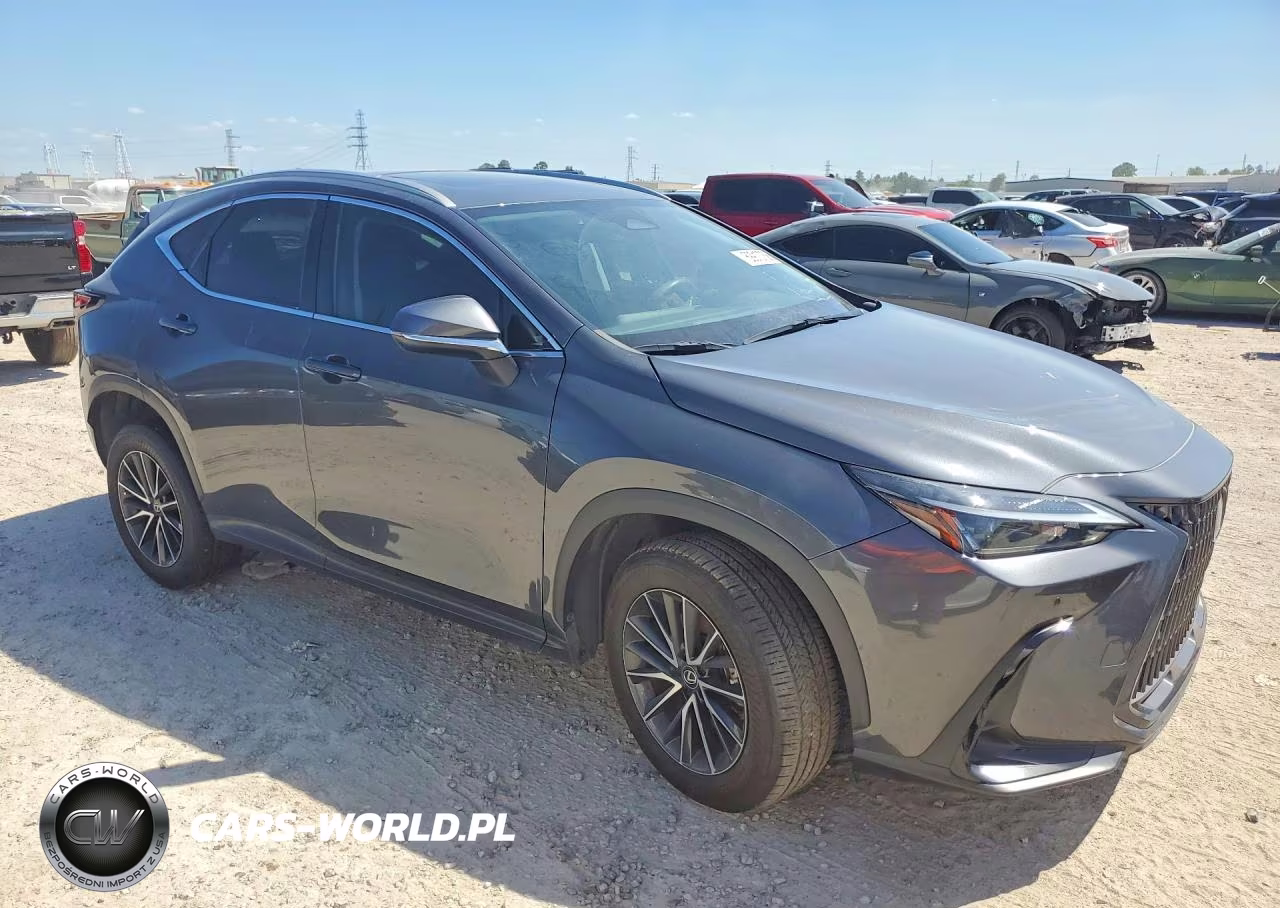 2024 Lexus Nx 250 Premium VIN:2T2GDCAZ0RC006283 - 4