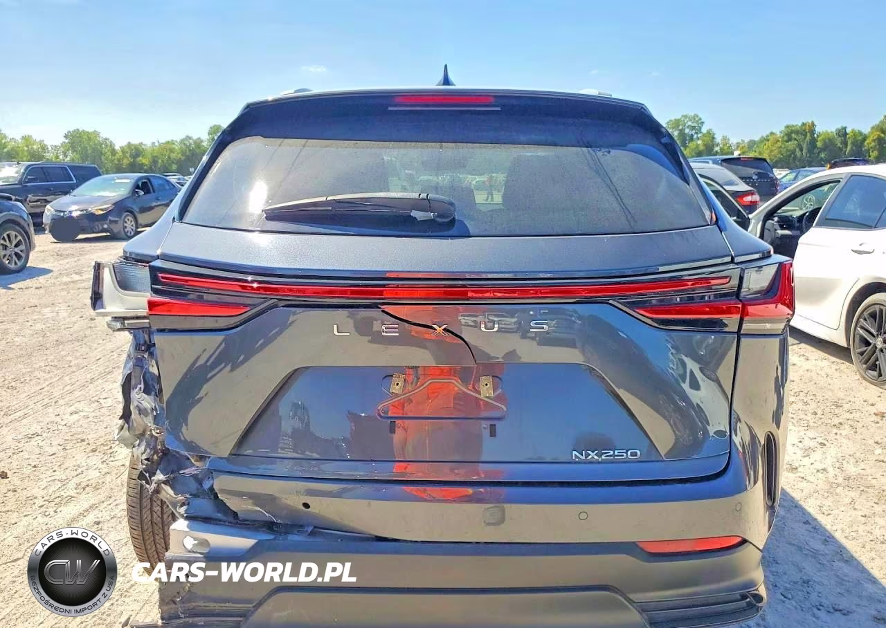2024 Lexus Nx 250 Premium VIN:2T2GDCAZ0RC006283 - 6