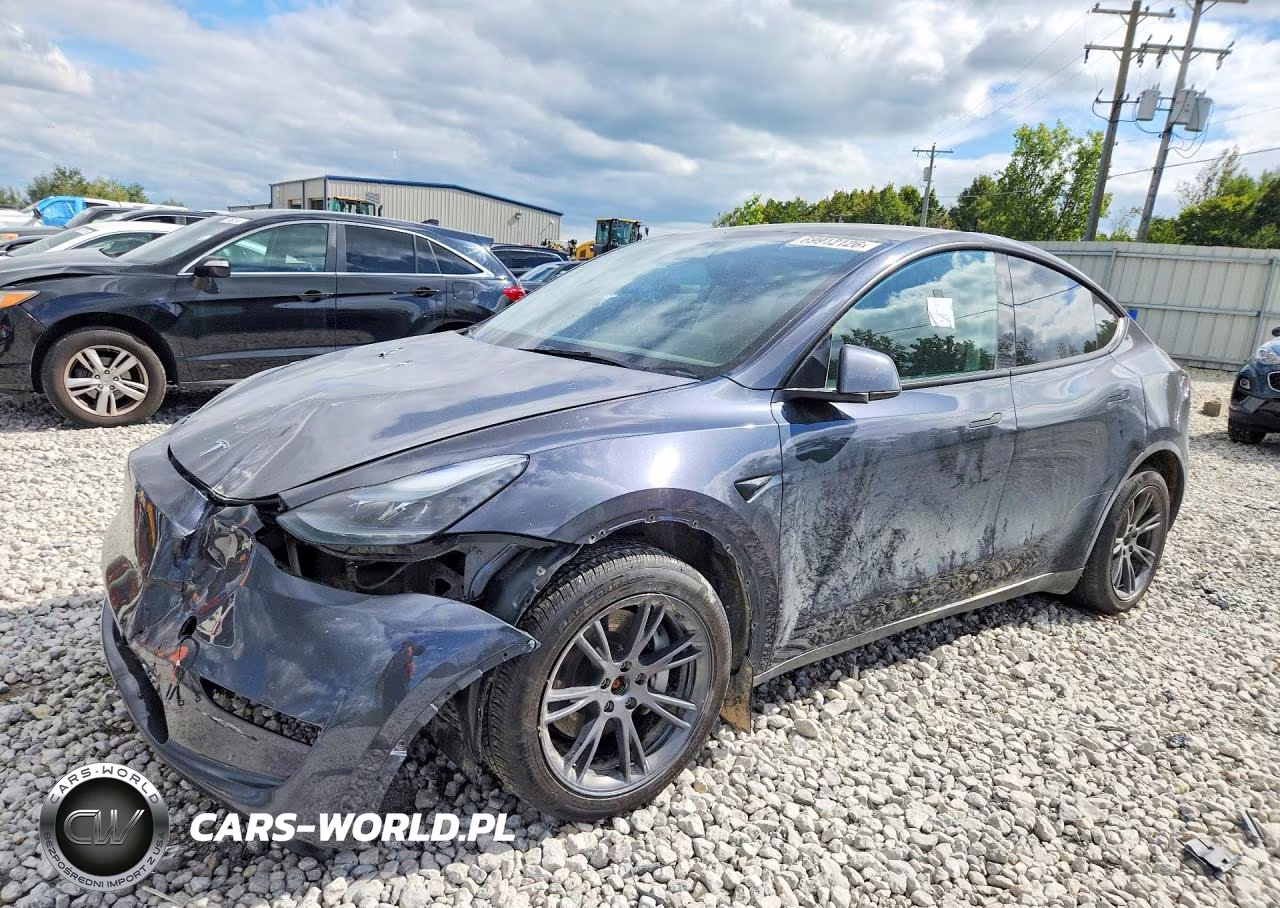 2024 Tesla Model Y VIN:7SAYGDEE7RA336169 - 1