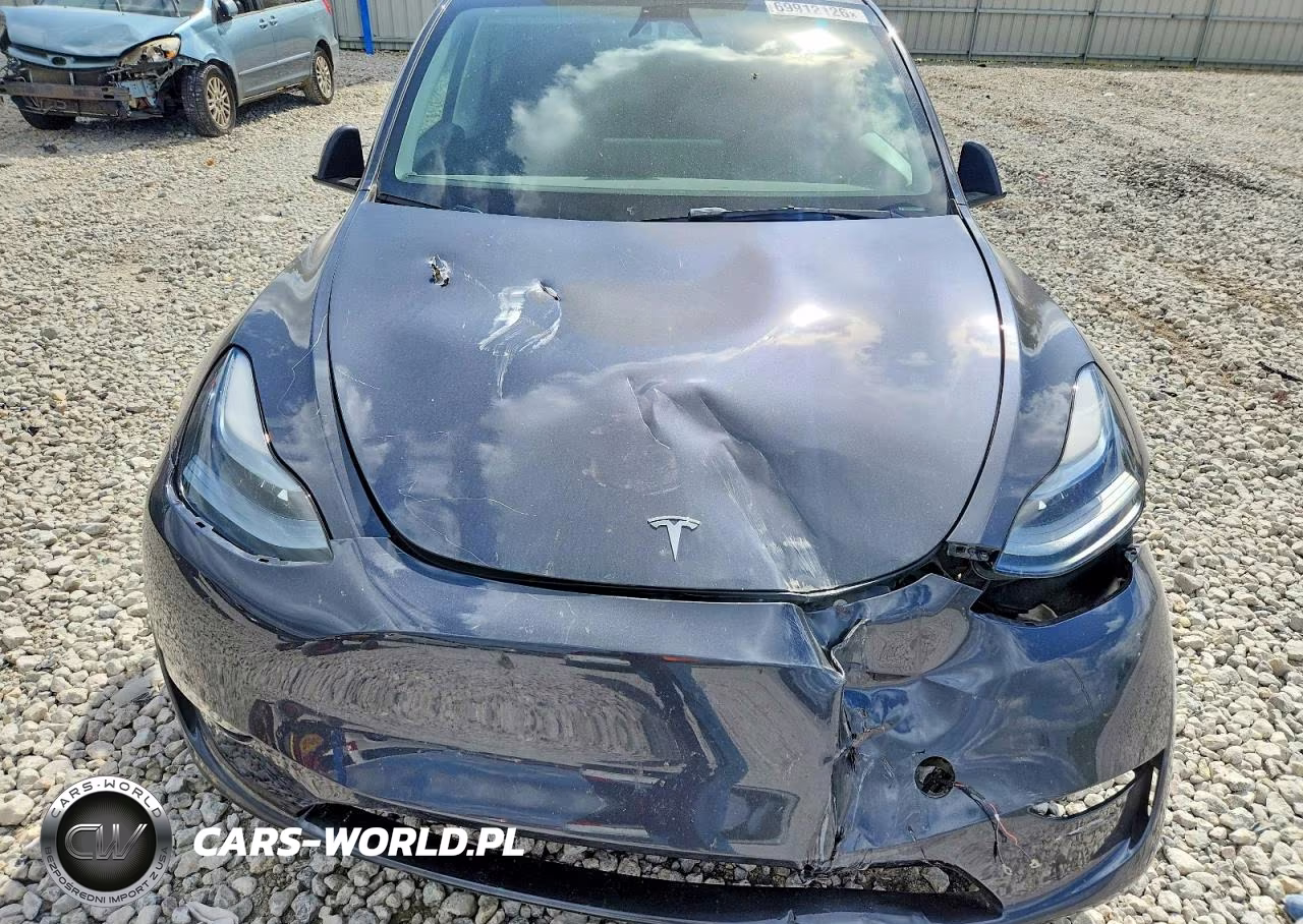 2024 Tesla Model Y VIN:7SAYGDEE7RA336169 - 12