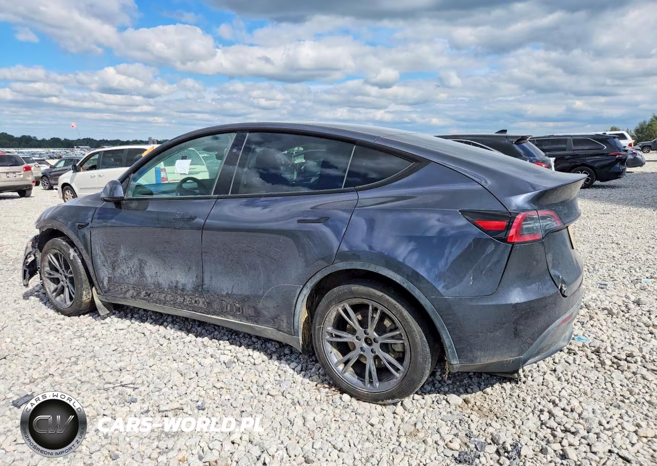 2024 Tesla Model Y VIN:7SAYGDEE7RA336169 - 2