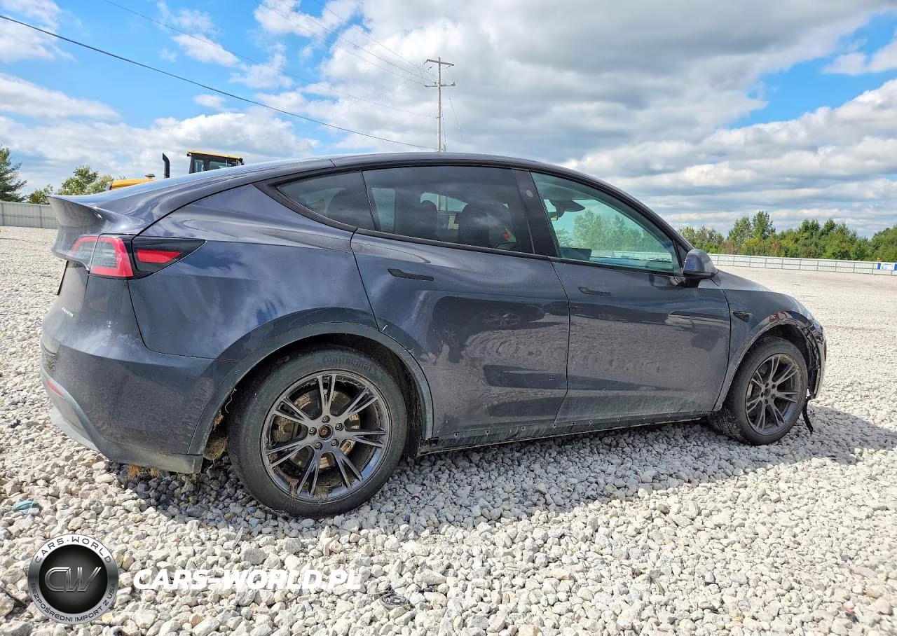 2024 Tesla Model Y VIN:7SAYGDEE7RA336169 - 3