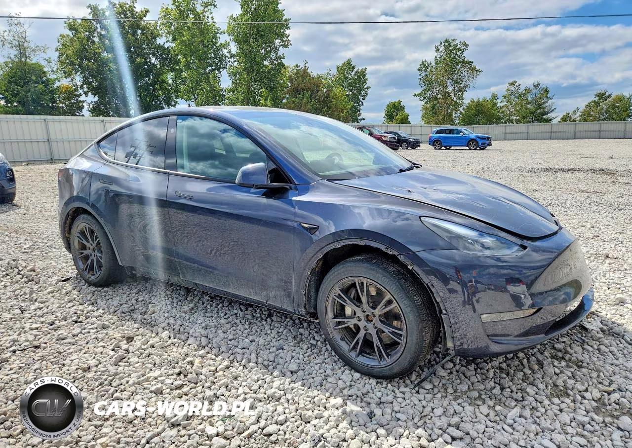 2024 Tesla Model Y VIN:7SAYGDEE7RA336169 - 4