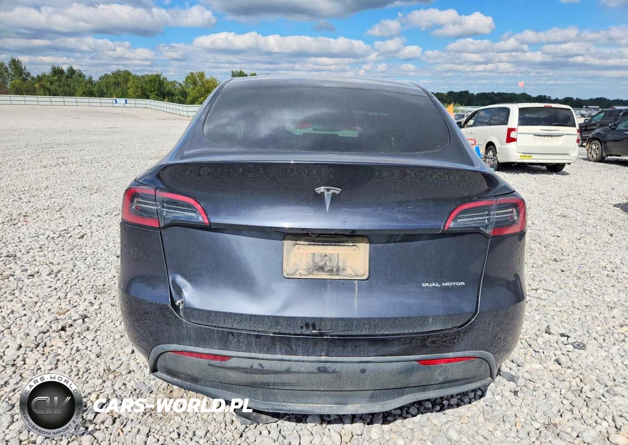 2024 Tesla Model Y VIN:7SAYGDEE7RA336169 - 6