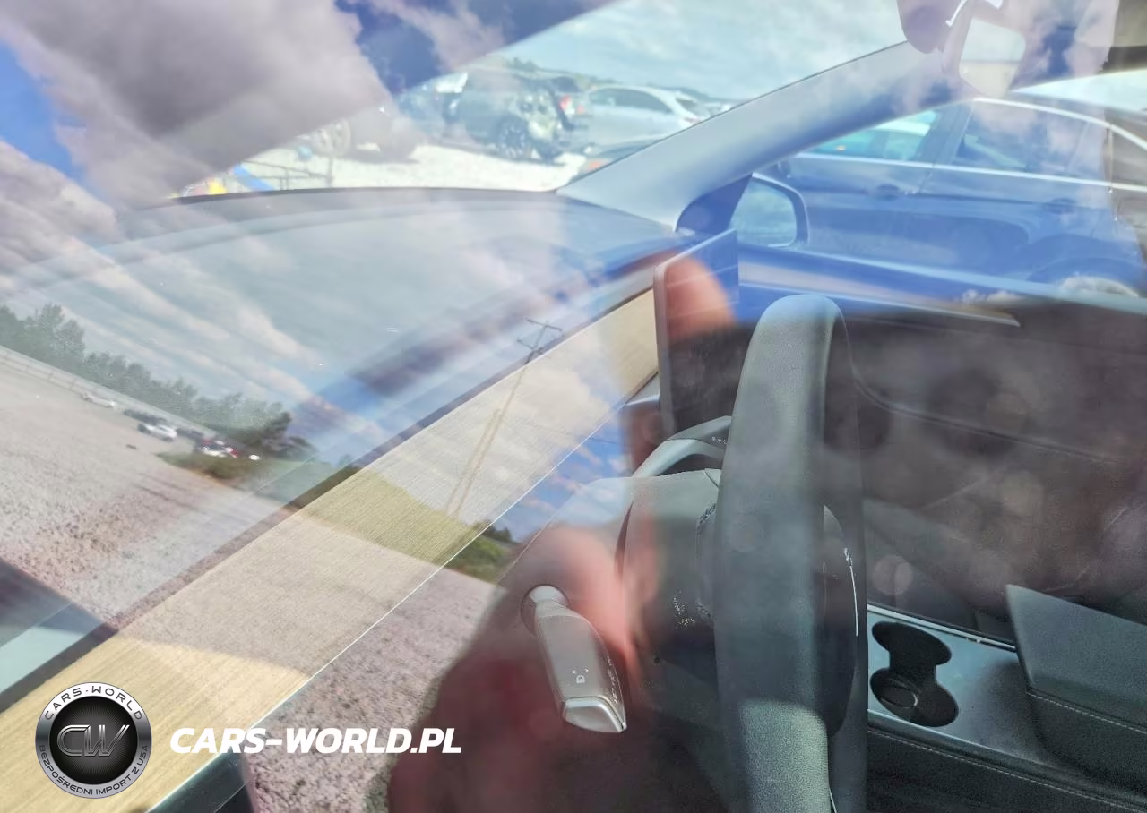 2024 Tesla Model Y VIN:7SAYGDEE7RA336169 - 9