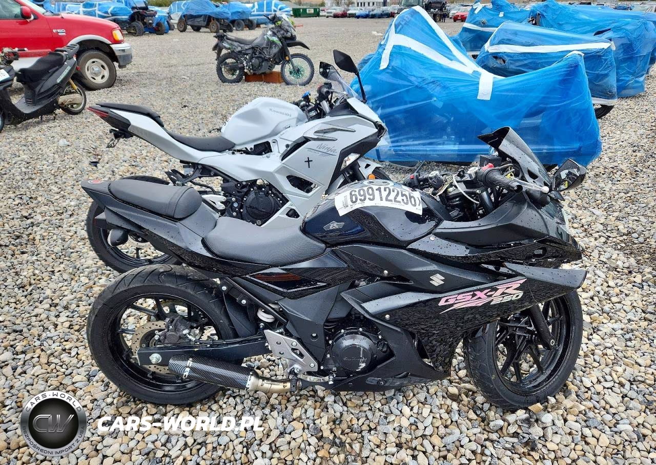 2018 Suzuki Gsx250R – zdjęcie 1 z 9