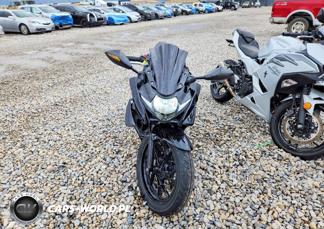 2018 Suzuki Gsx250R VIN:LC6DN11A0J1100851 - 2