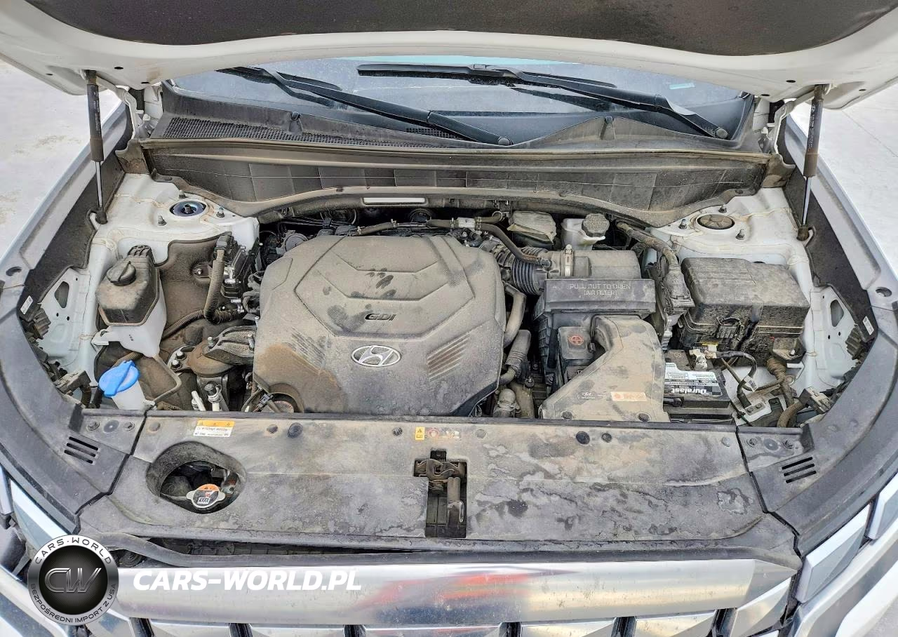2024 Hyundai Palisade Calligraphy VIN:KM8R74GE9RU666741 - 12