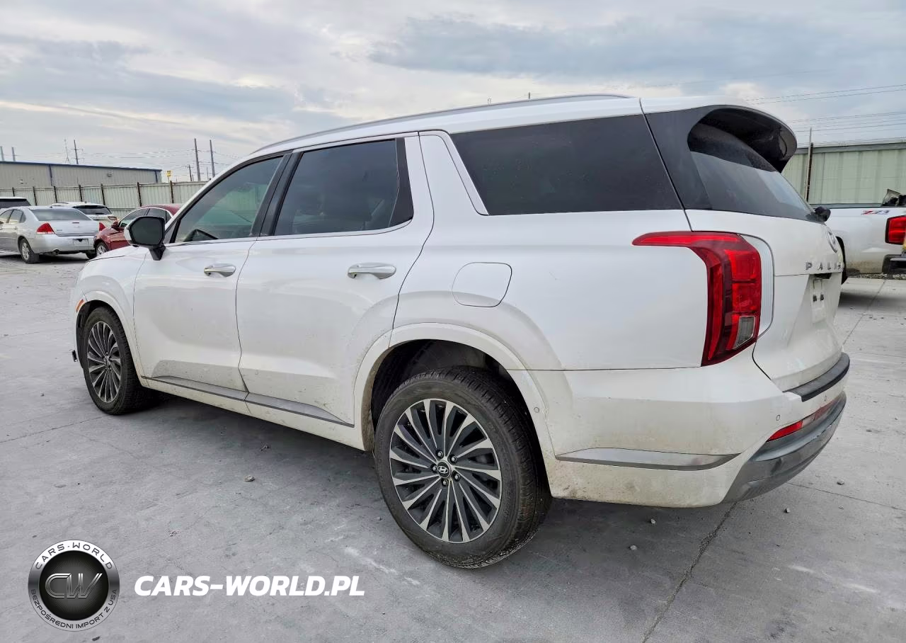 2024 Hyundai Palisade Calligraphy VIN:KM8R74GE9RU666741 - 2