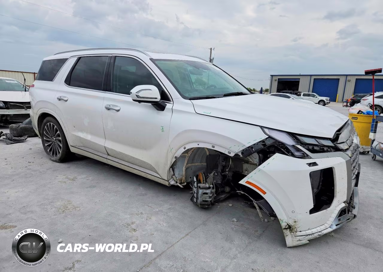 2024 Hyundai Palisade Calligraphy VIN:KM8R74GE9RU666741 - 4