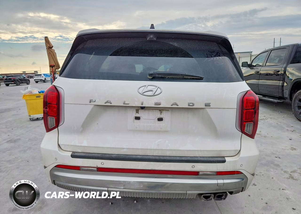 2024 Hyundai Palisade Calligraphy VIN:KM8R74GE9RU666741 - 6