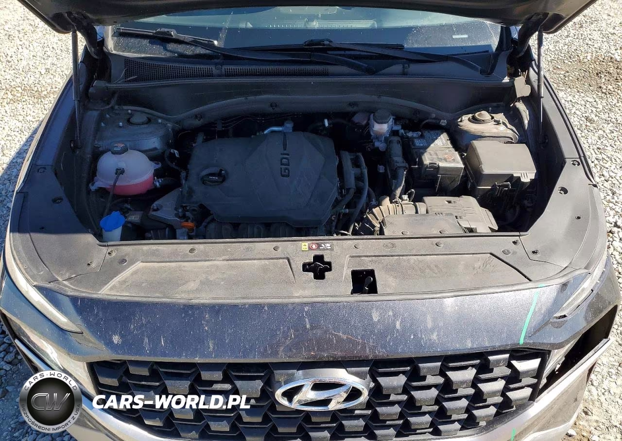 2021 Hyundai Santa Fe Se VIN:5NMS1DAJ3MH325963 - 12